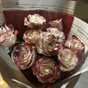 专干日本老太婆
